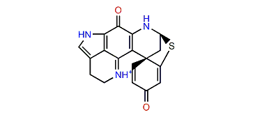 (6R,8R)-Discorhabdin G*/I